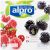 Alpro Blackberry Raspberry & Cranberry 4X125g