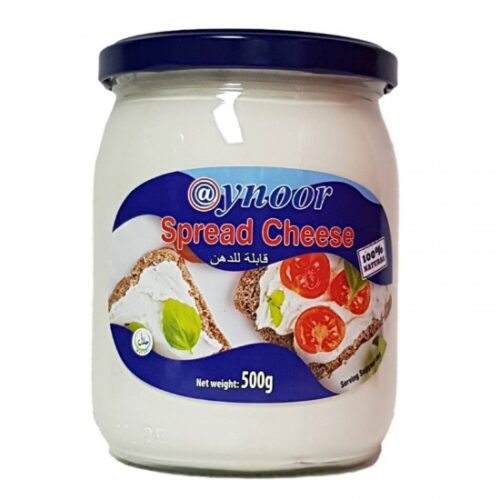 Aynoor Spread Cheese 500g