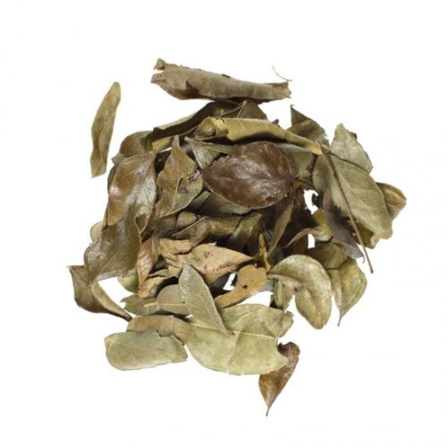 Organic Curry Leaves 30g